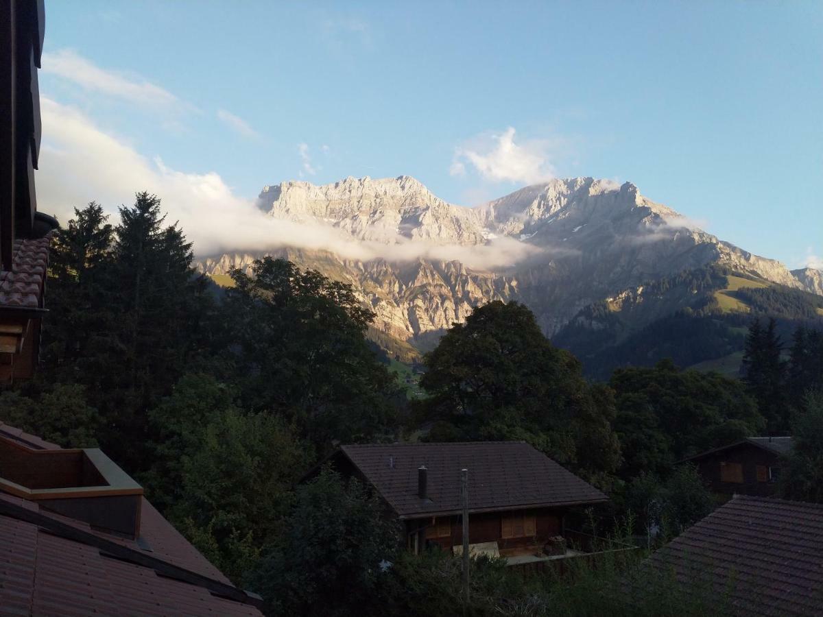 6Fh Liimerweg Appartement Adelboden Buitenkant foto
